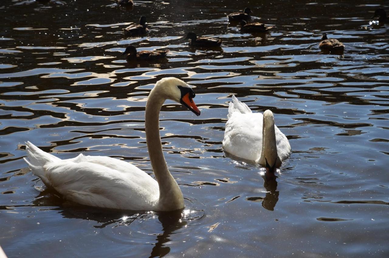 Tewitfield Marina *